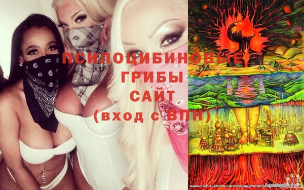 индика Алексеевка