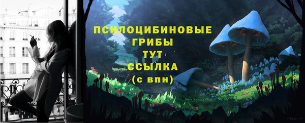 экстази Алексин