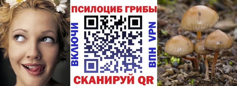 Псилоцибиновые грибы Cubensis  Грязовец 